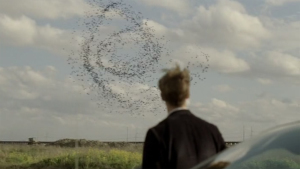 Spirale in True detective